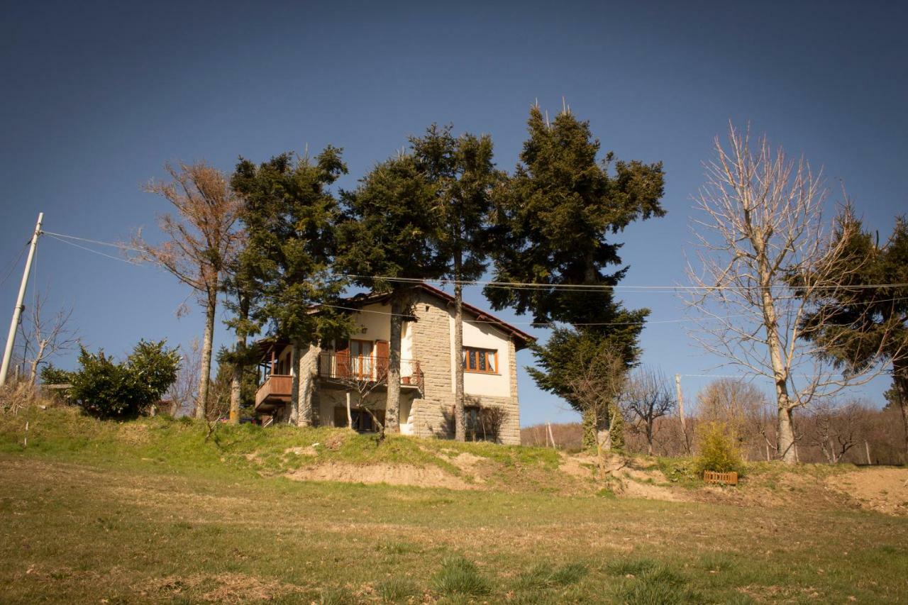 B&B Vista Casentino Pratovecchio Exteriör bild