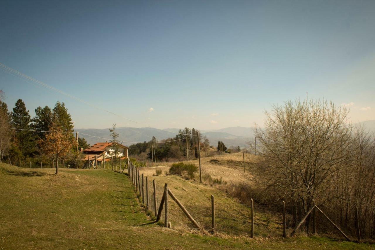 B&B Vista Casentino Pratovecchio Exteriör bild