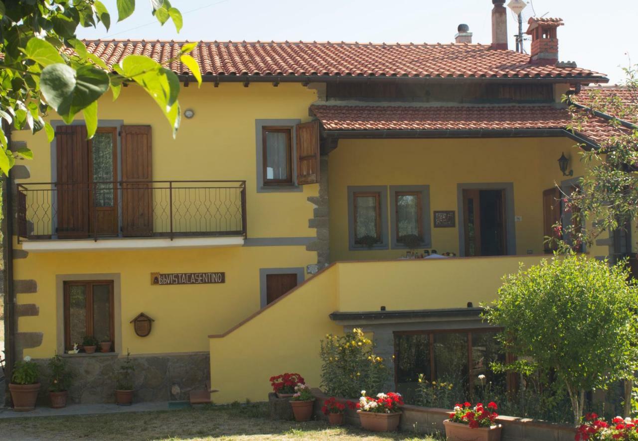 B&B Vista Casentino Pratovecchio Exteriör bild