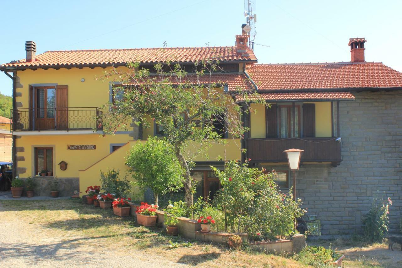B&B Vista Casentino Pratovecchio Exteriör bild