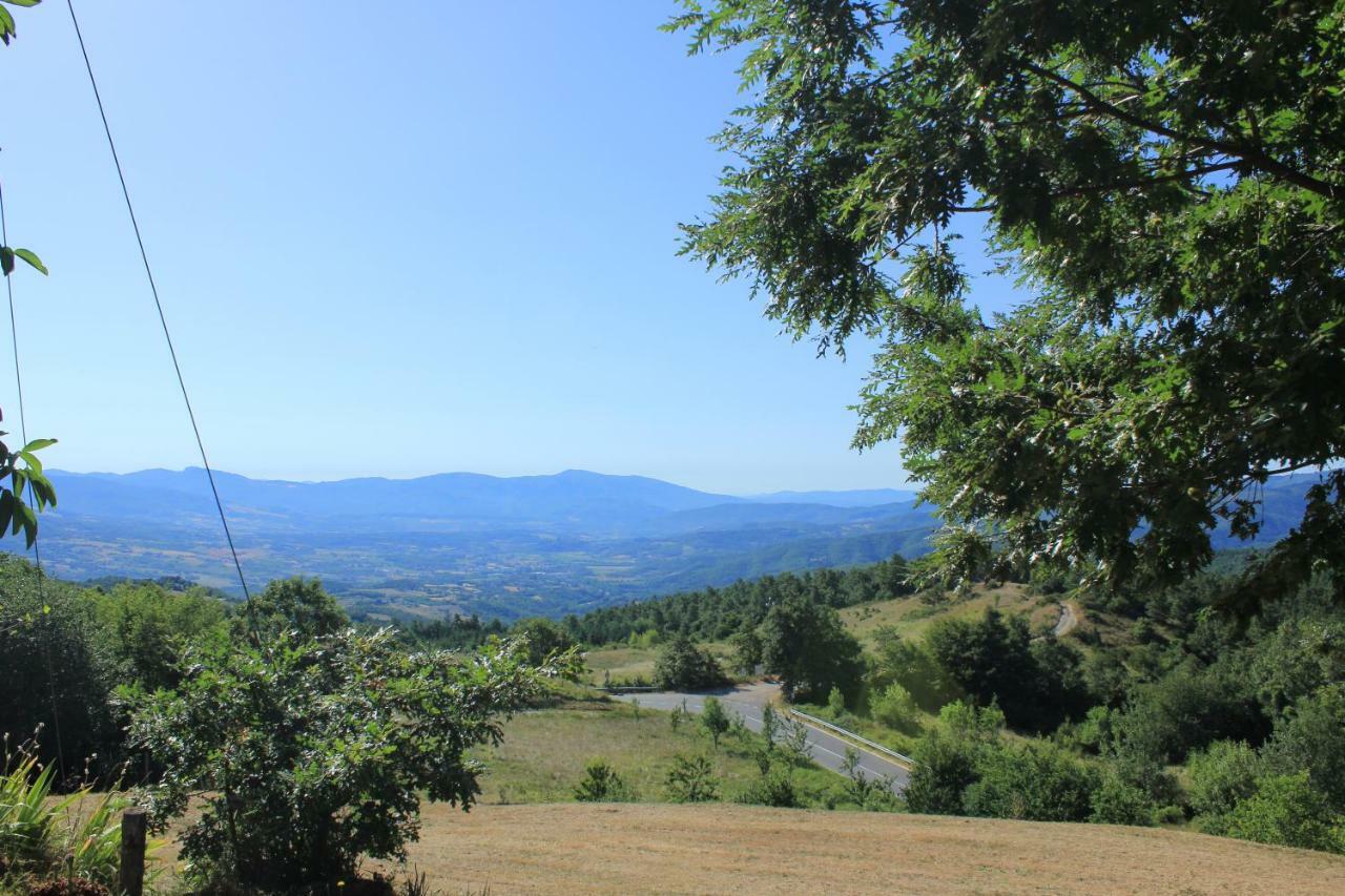 B&B Vista Casentino Pratovecchio Exteriör bild